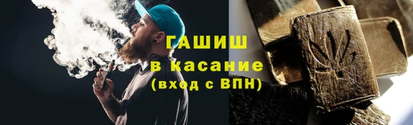индика Слюдянка