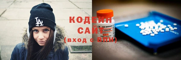 прущие грибы Снежногорск