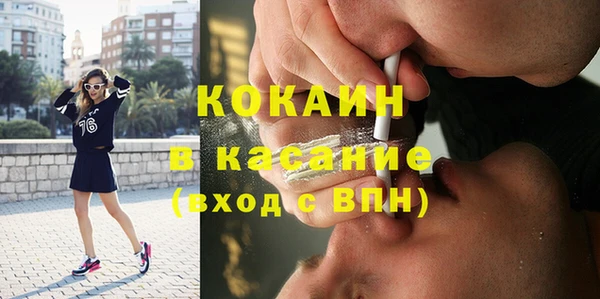 индика Слюдянка
