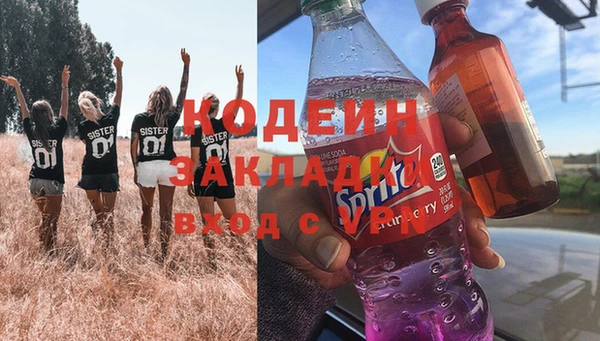 индика Слюдянка