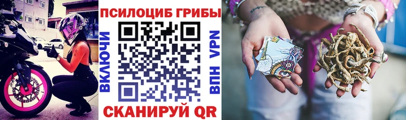 mega ТОР  Новохопёрск  Галлюциногенные грибы ЛСД 